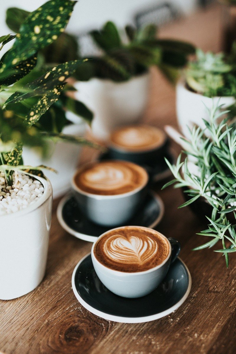 latte art, barista at work